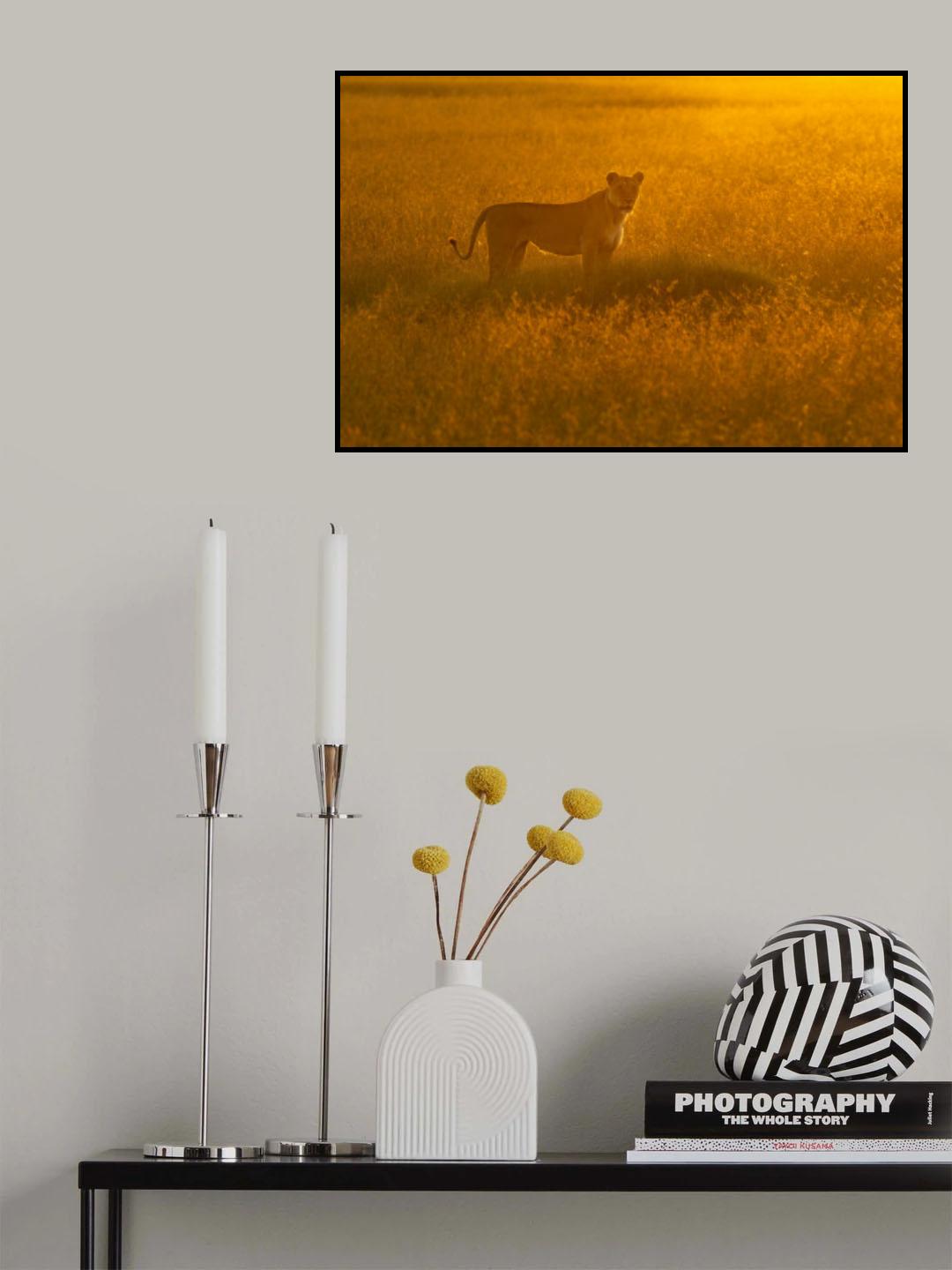 Golden Savannah Poster och Canvastavla