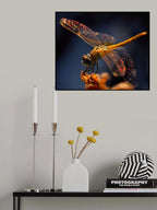A Midsummer Night's Dream... Poster och Canvastavla