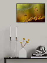 Chill Poster och Canvastavla