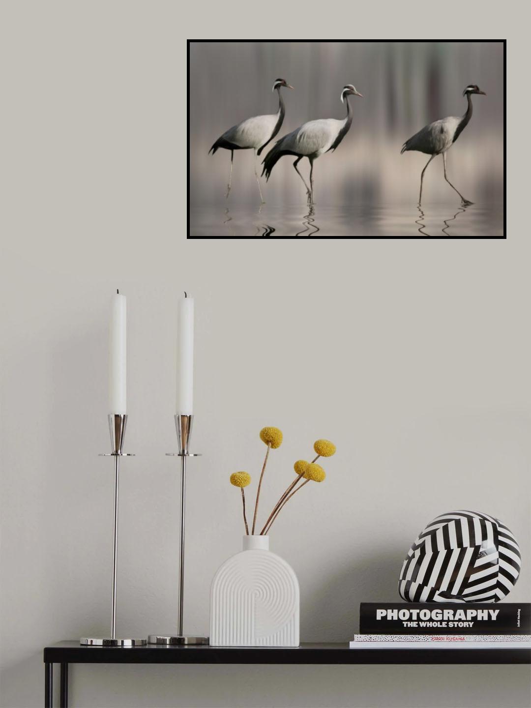 grey ... Poster och Canvastavla
