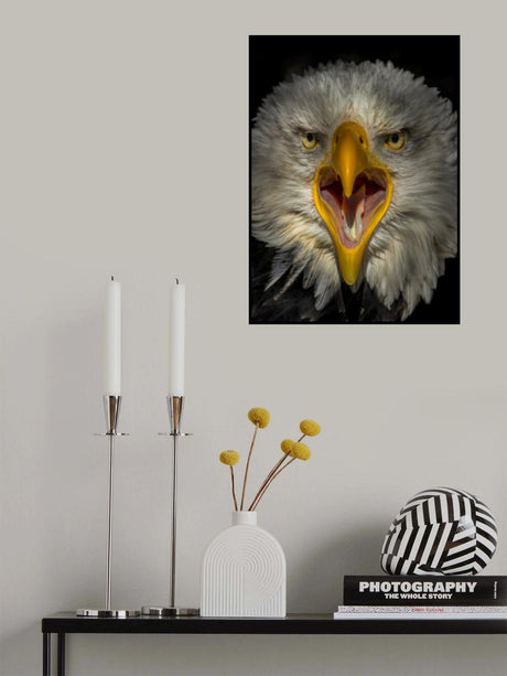 Eagle Poster och Canvastavla