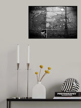 Poster och Canvastavla