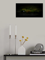 The pond Poster och Canvastavla