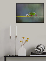 Shelter you from the rain Poster och Canvastavla