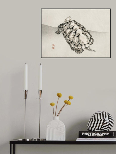 Turtle Poster och Canvastavla