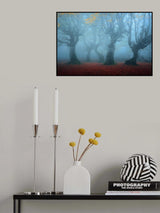 Posing in the Mist Poster och Canvastavla