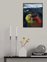 Icelandic Wonderland Poster och Canvastavla