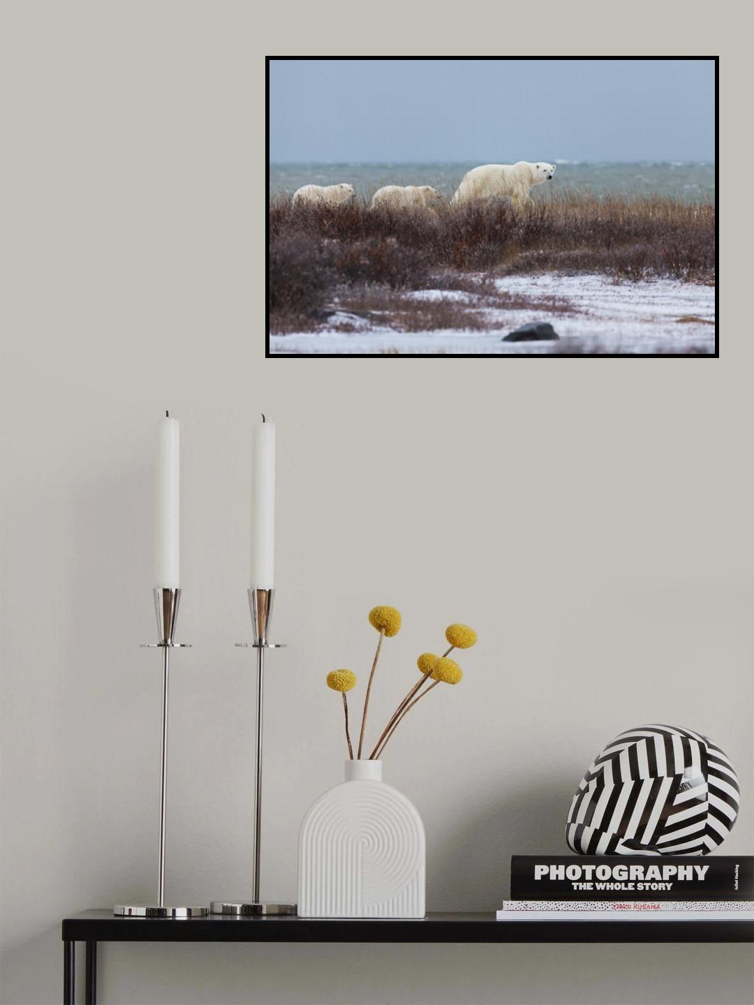 Follow me Poster och Canvastavla