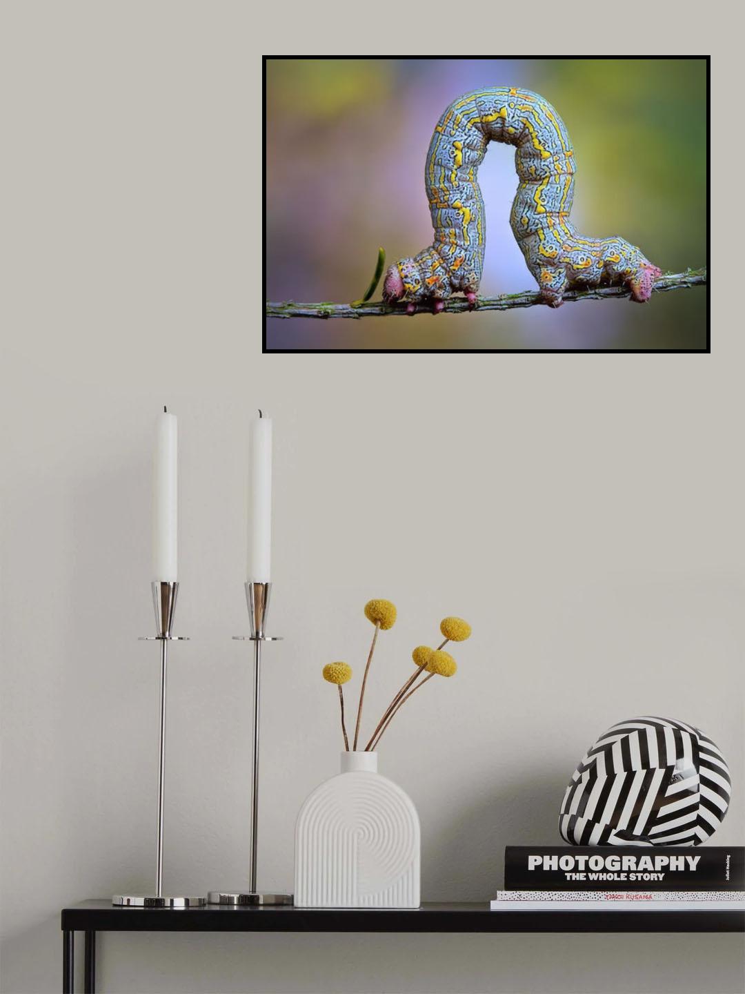 Looper Poster och Canvastavla