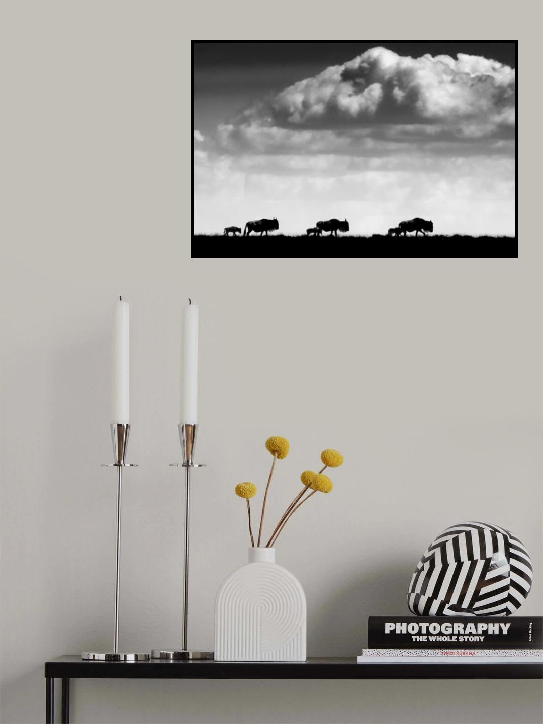 Migration Beginning Poster och Canvastavla