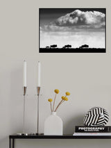 Migration Beginning Poster och Canvastavla