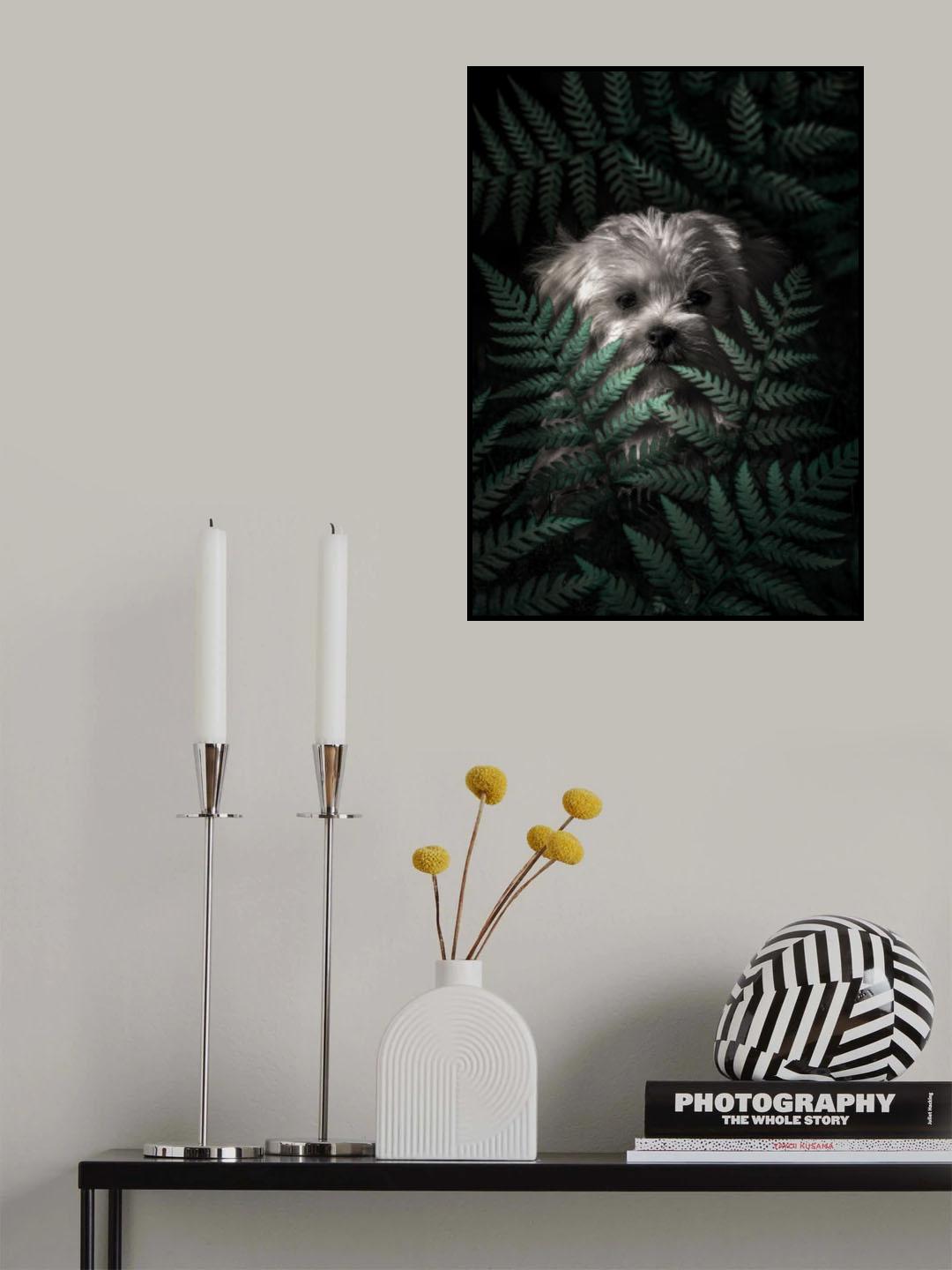 Puppy In The Ferns Poster och Canvastavla