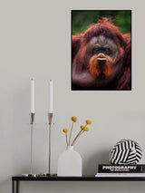 Kiss Poster och Canvastavla