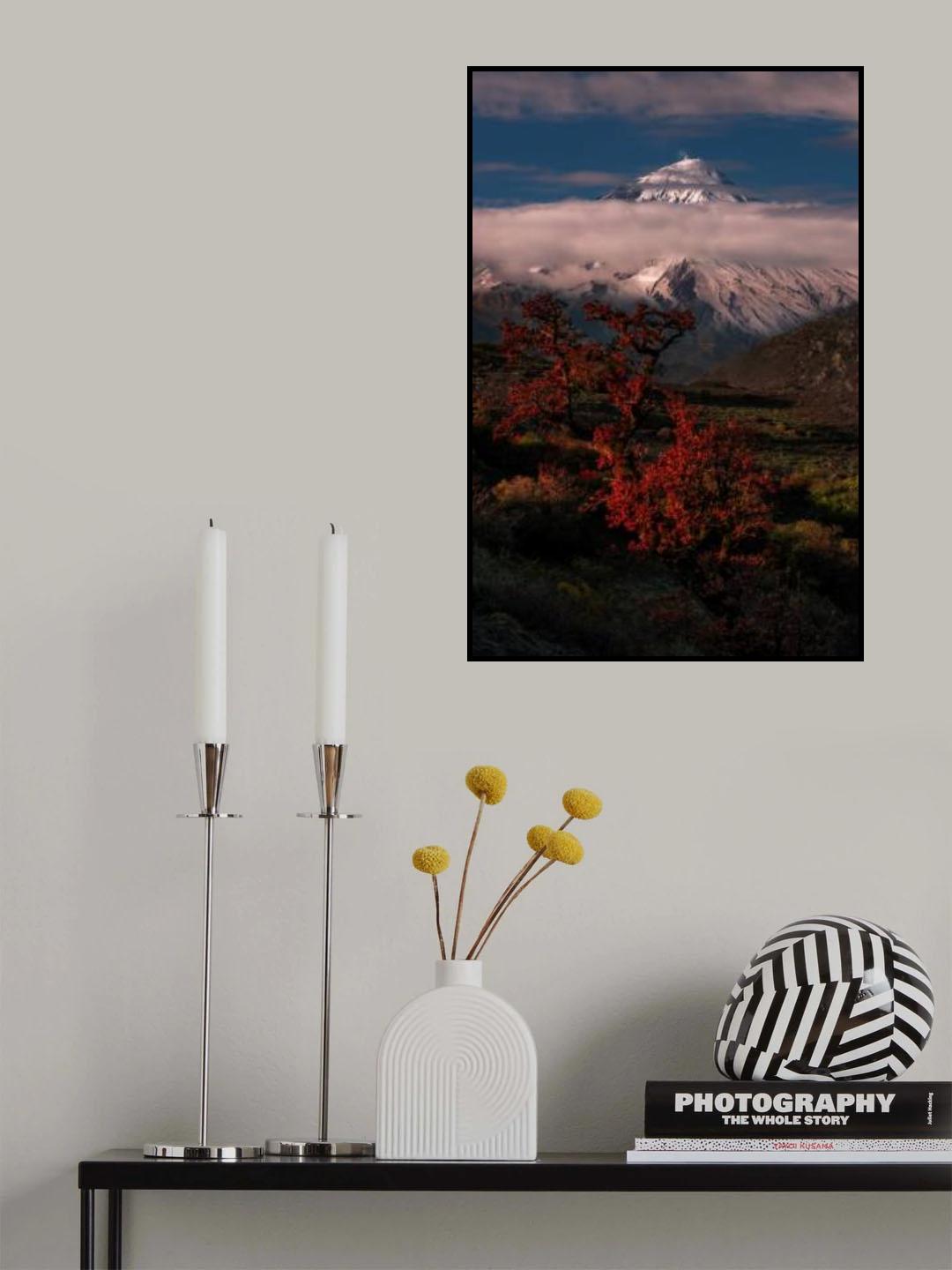 Lakooh Poster och Canvastavla