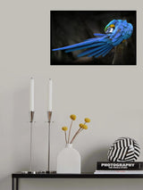 Untitled Poster och Canvastavla