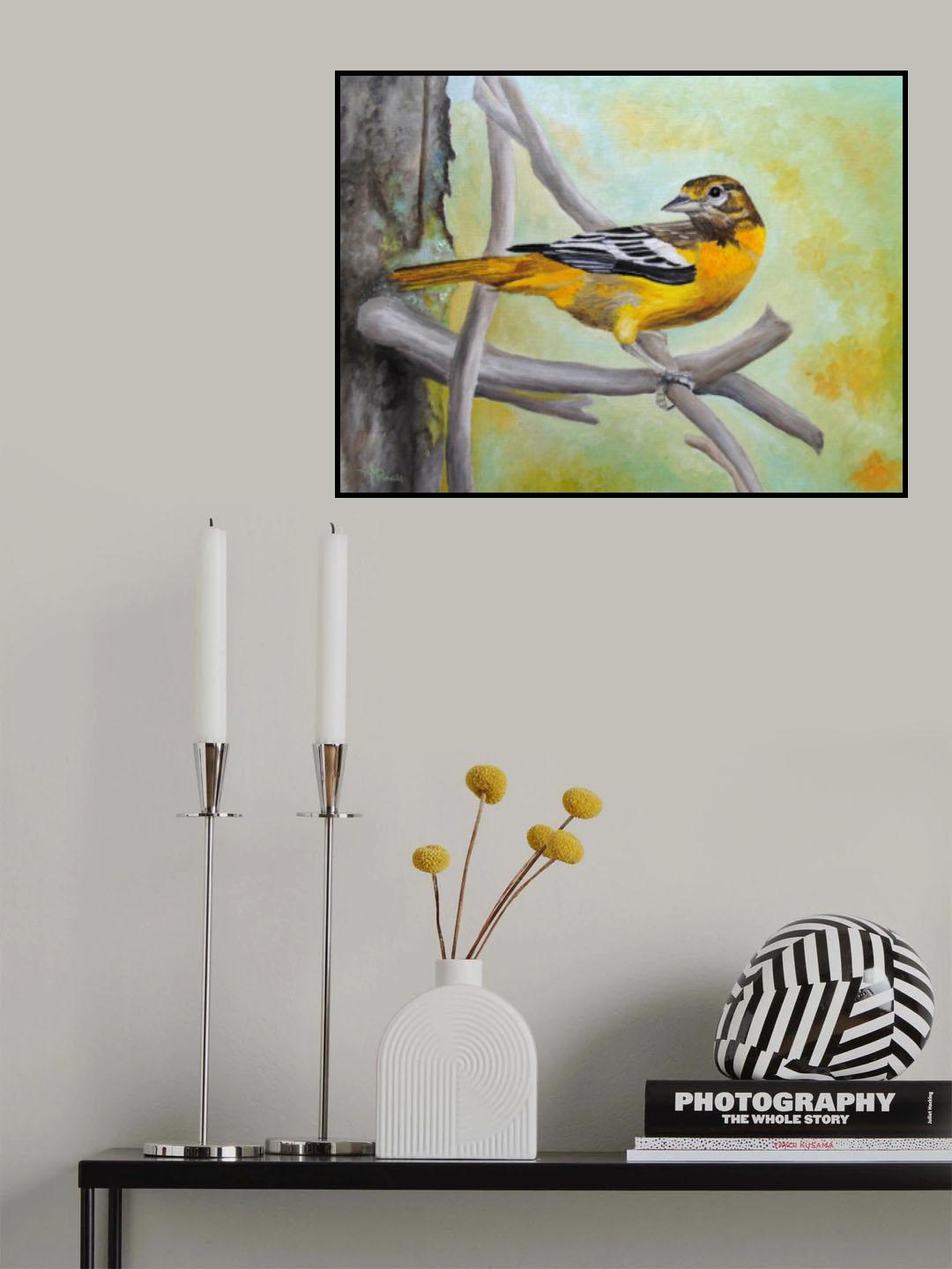 Baltimore Oriole Poster och Canvastavla