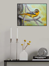 Baltimore Oriole Poster och Canvastavla