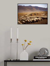 Sürü Poster och Canvastavla