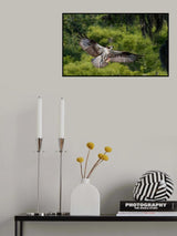 The girl has a fish ! Poster och Canvastavla