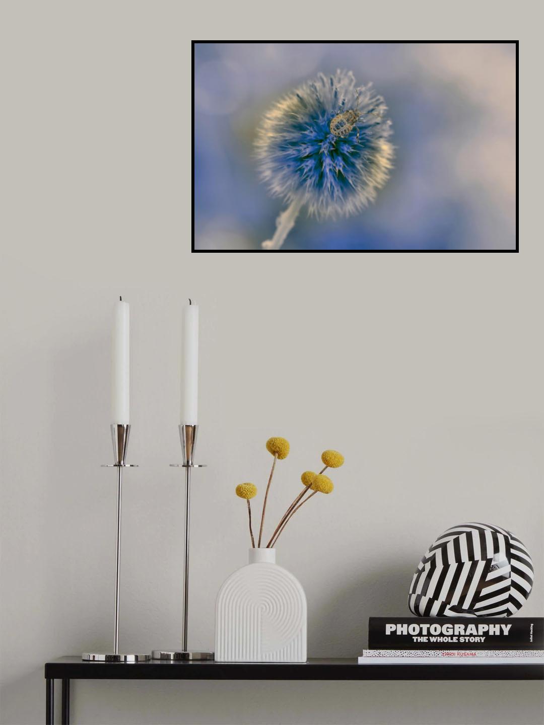 The blue star... Poster och Canvastavla