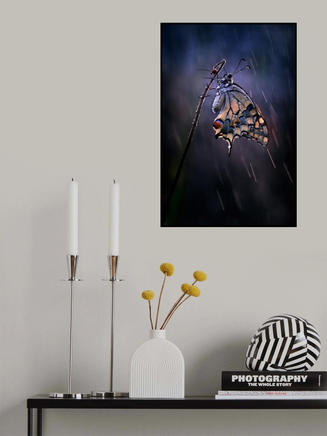 Under the summer rain Poster och Canvastavla