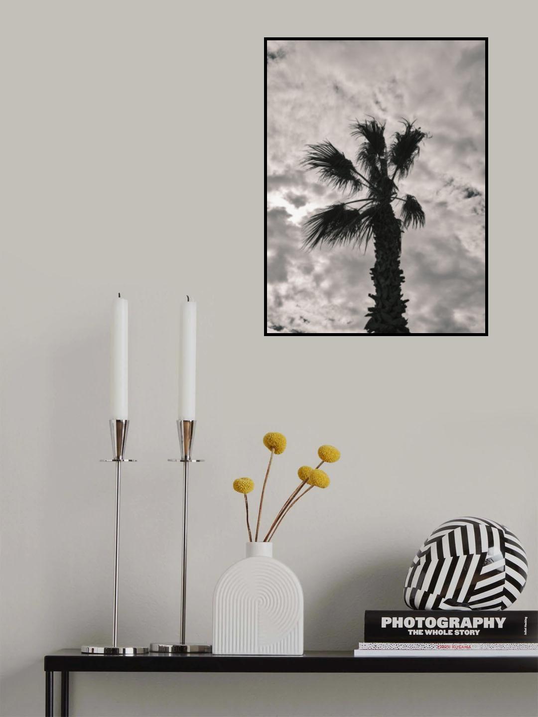 palm tree and cloudy sky Poster och Canvastavla