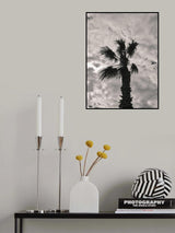 palm tree and cloudy sky Poster och Canvastavla