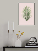 Palm Leaf Blush Poster och Canvastavla