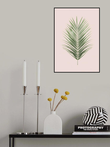 Palm Leaf Blush Poster och Canvastavla