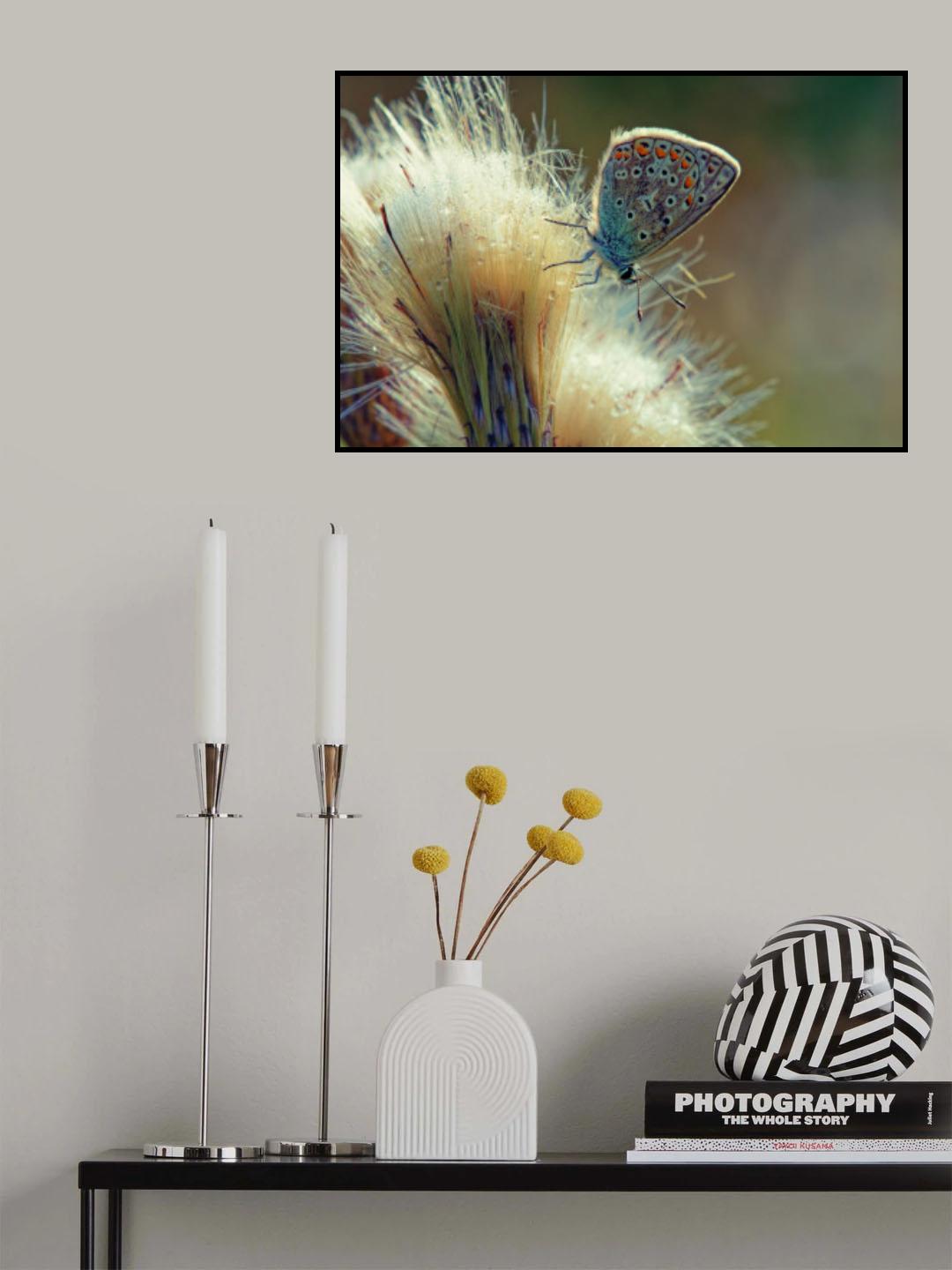 Poster och Canvastavla