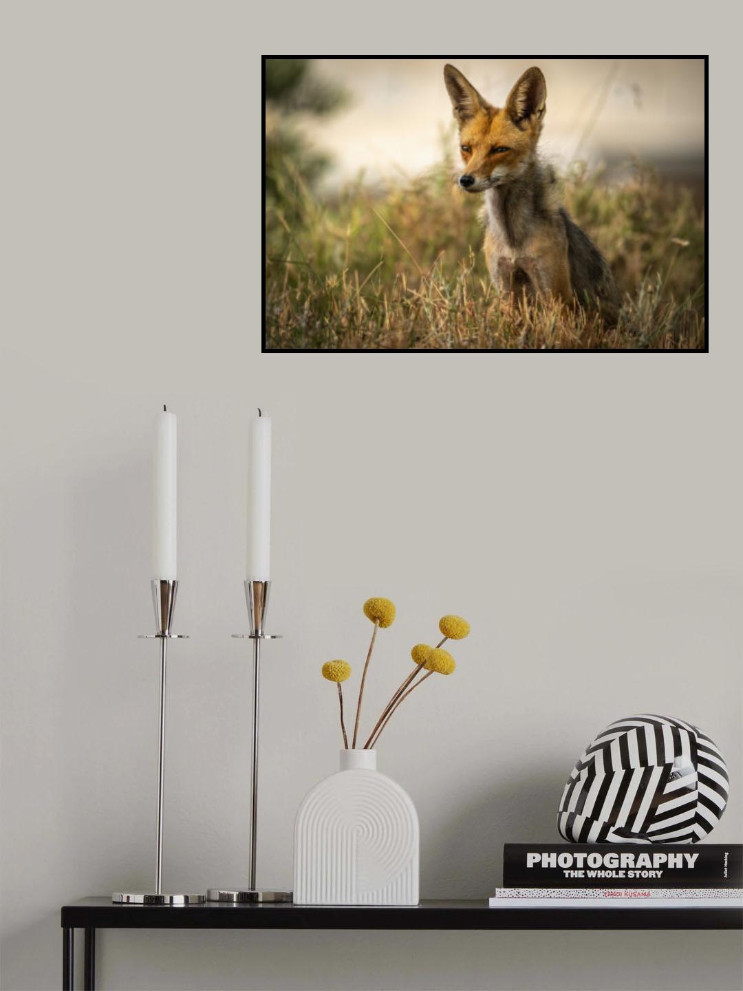 Thiusand yard stare Poster och Canvastavla