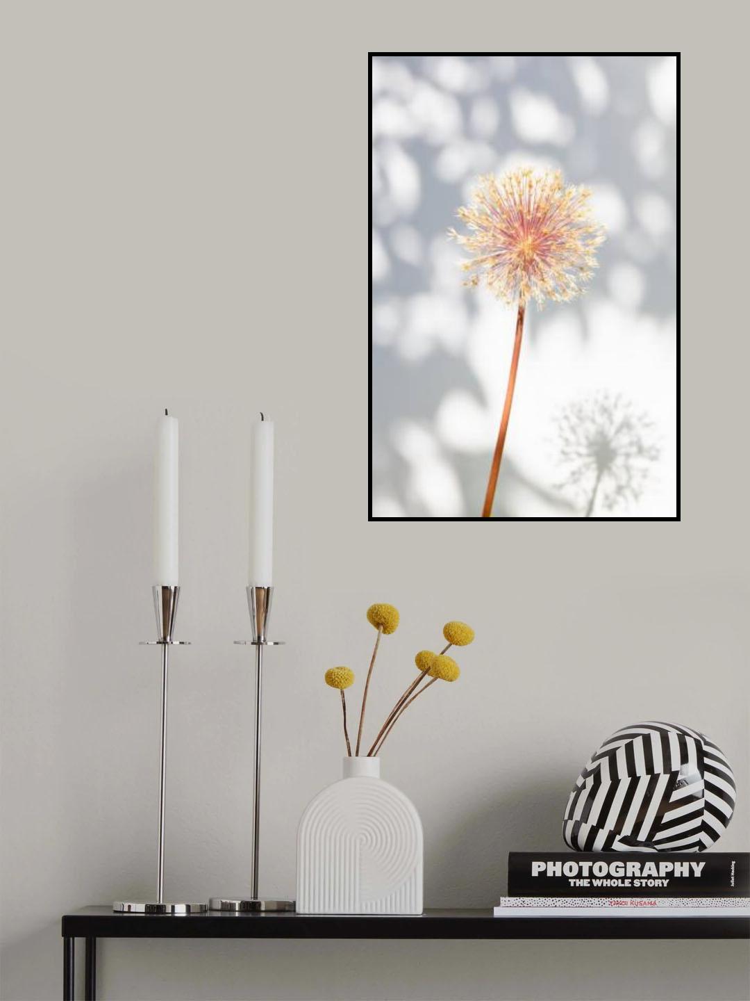 Withered flower, seed house_2 Poster och Canvastavla
