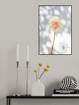 Withered flower, seed house_2 Poster och Canvastavla