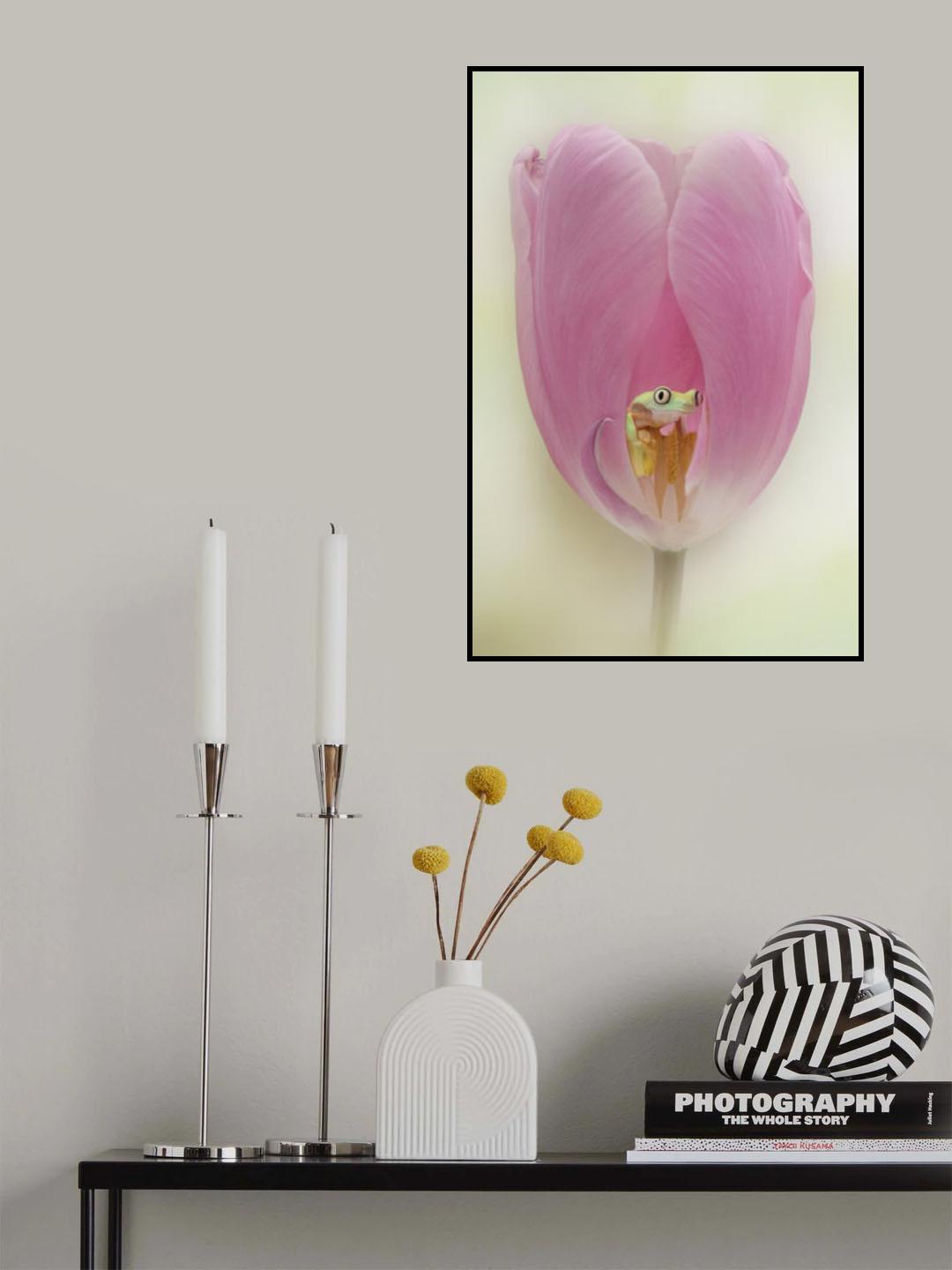 The Lemur Tree Frog and the Pink Tulip Poster och Canvastavla