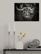 Red-billed Oxpecker and the Buffalo Poster och Canvastavla