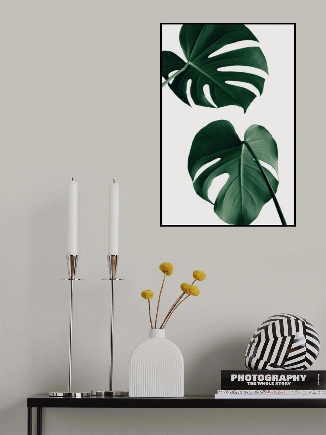 Monstera Natural 18 Poster och Canvastavla