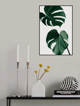 Monstera Natural 18 Poster och Canvastavla