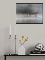 Poster och Canvastavla