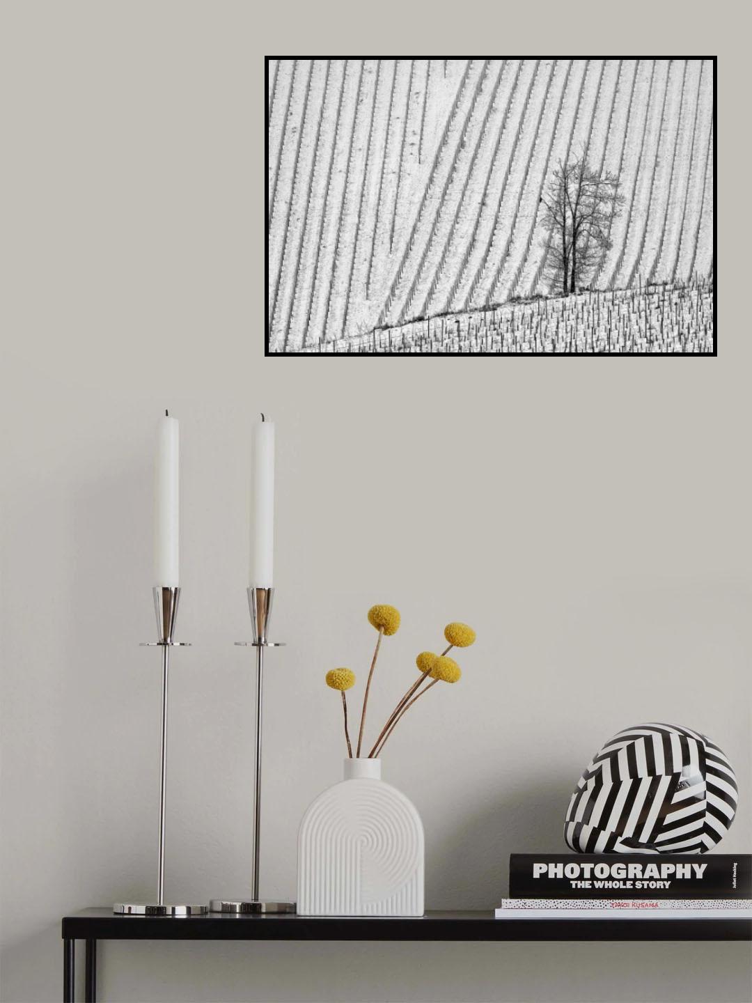 January the second Poster och Canvastavla