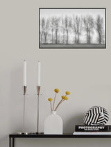 Sweet melancholy of fog Poster och Canvastavla