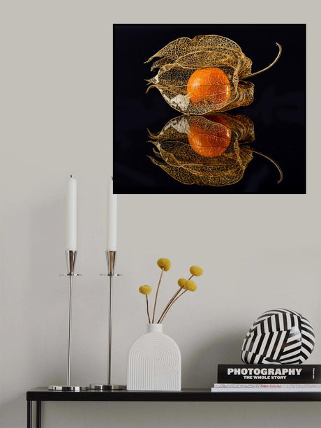 Physalis Poster och Canvastavla