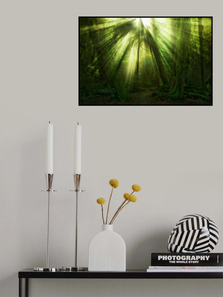 The Miracle Poster och Canvastavla