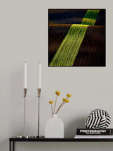 Velvet carpet Poster och Canvastavla