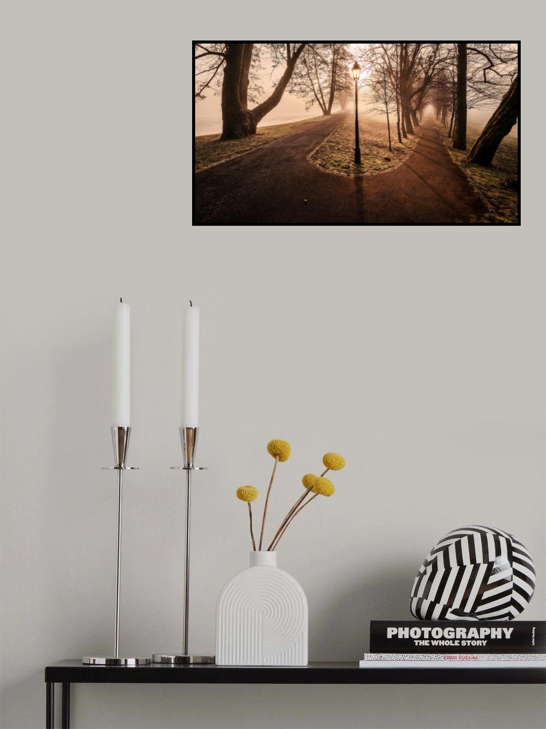 Double path Poster och Canvastavla