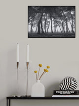 Dancing trees Poster och Canvastavla