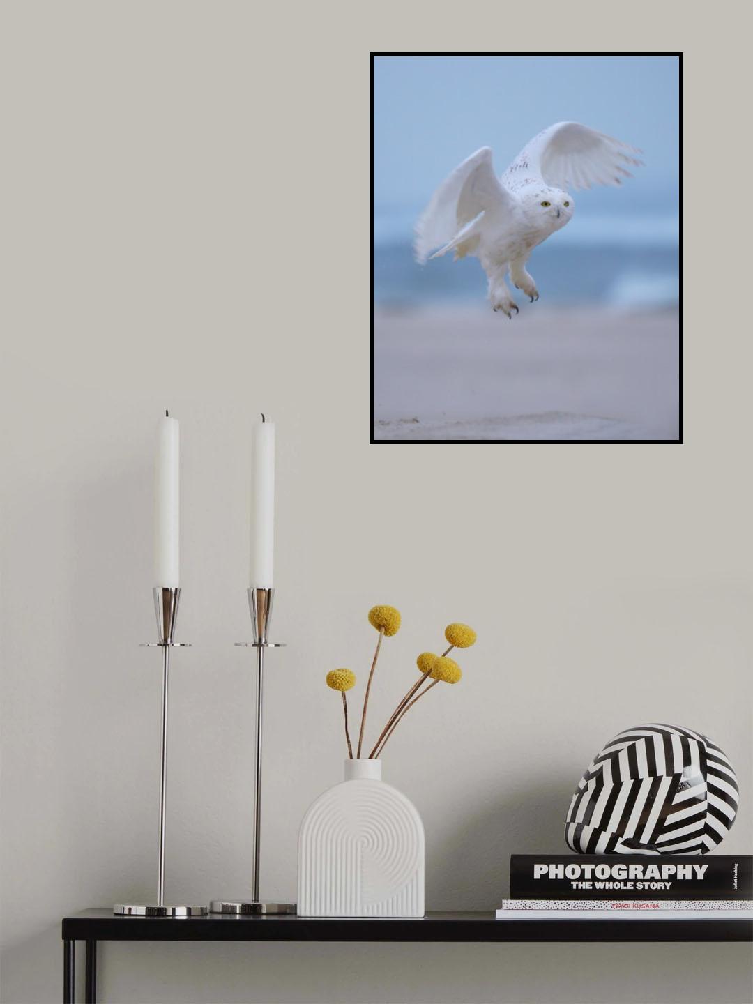 The dream Poster och Canvastavla