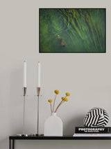 Swimming Deep Poster och Canvastavla