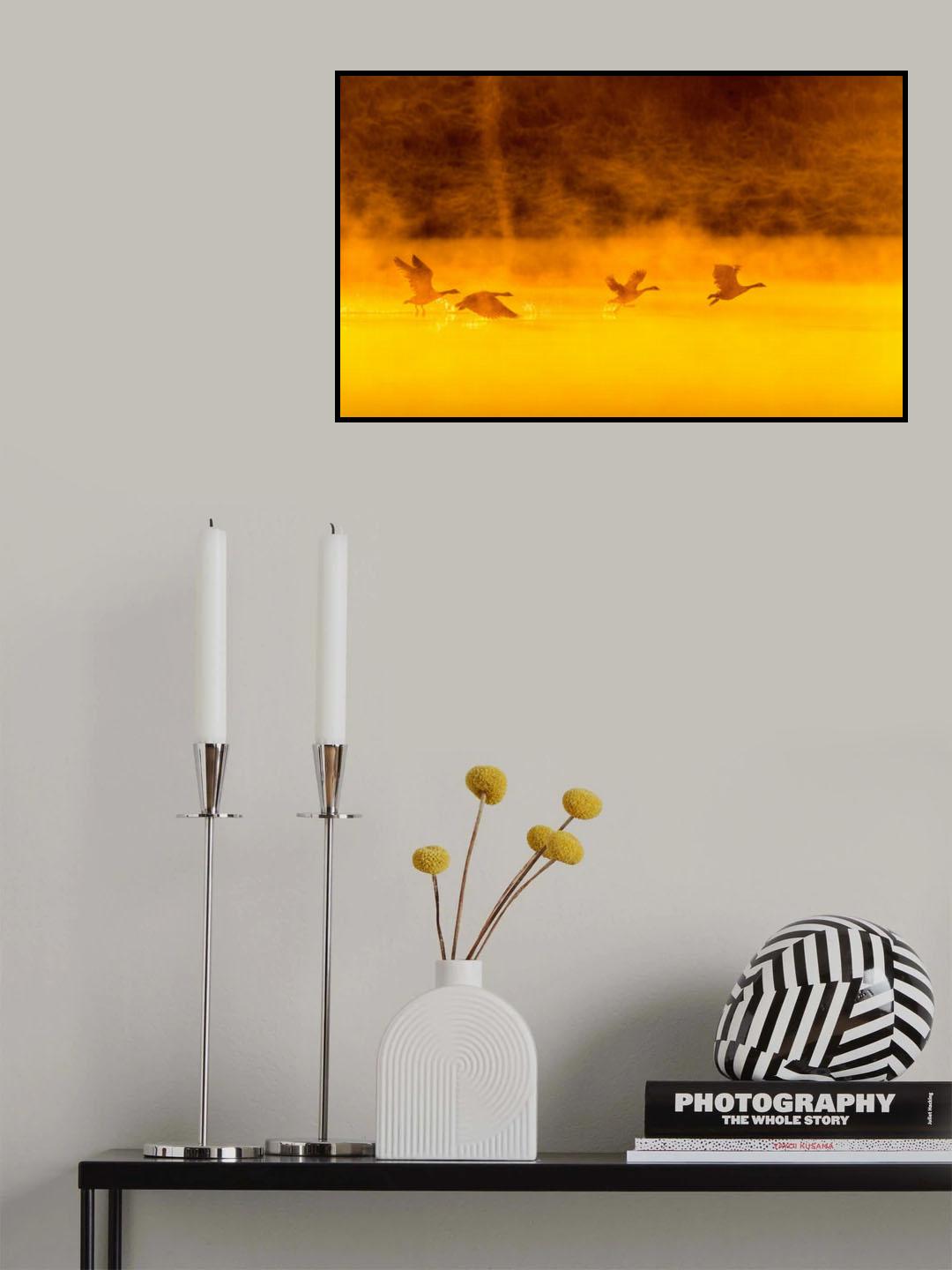 Golden Morning Poster och Canvastavla