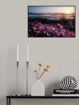 View of the summit Poster och Canvastavla