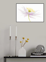 *Nemorosa* Poster och Canvastavla